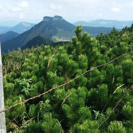 Apartmán Manuela Adnet