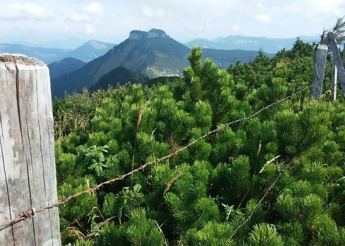 Lejlighed Manuela Adnet